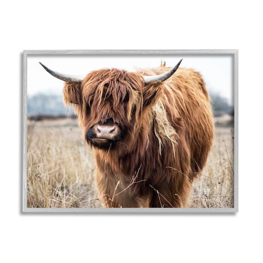 Stupell Industries Grazing Longhorn Cattle Farmland Animal Portrait Framed Giclee Art